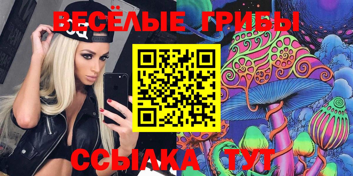 Спасск-Дальний  Псилоцибиновые грибы мицелий  Вход с VPN 